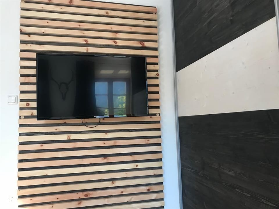 Television