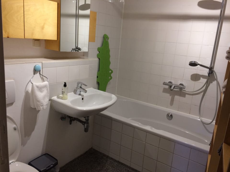 toilet, bathtub with shower