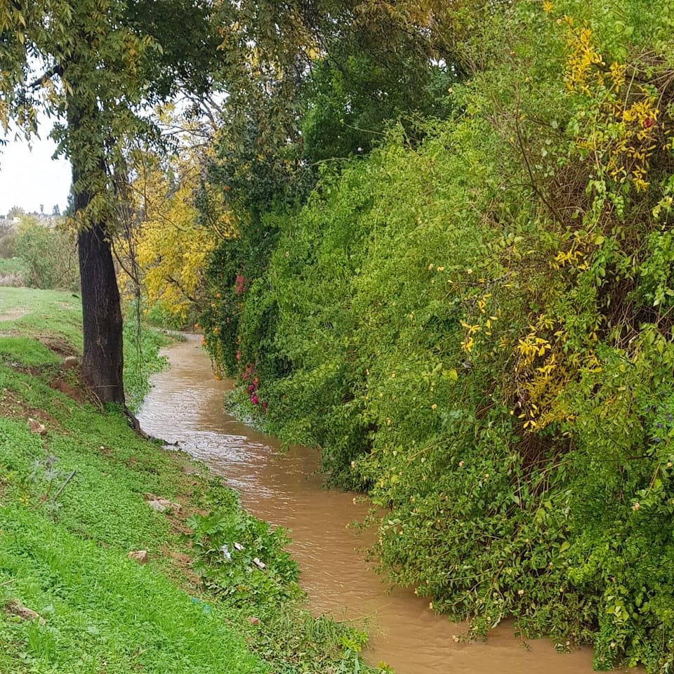 The winter brook that runs outside our house 
