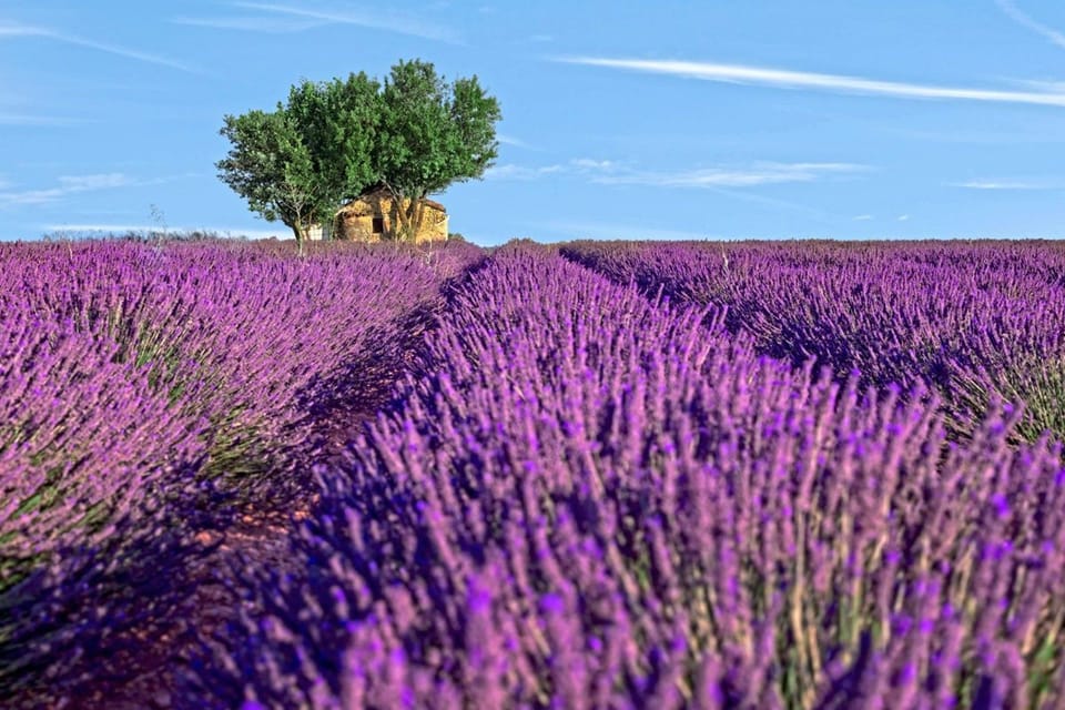 Miscellaneous