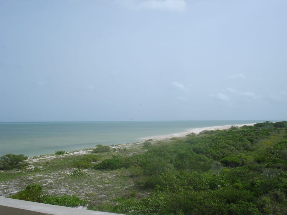 Looking north from wrap around balcony
