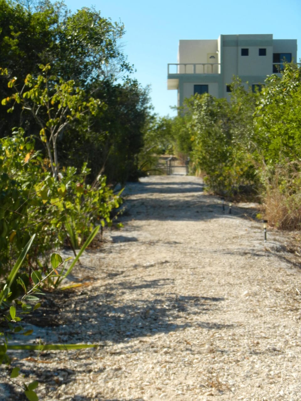 Walkway to the house