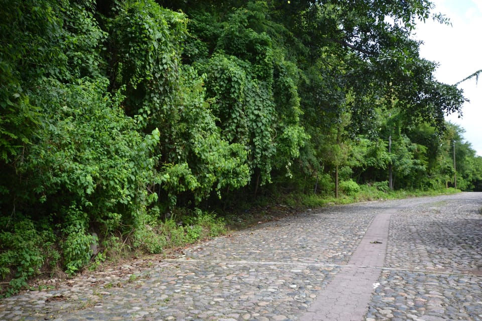 Cobblestone street at condo