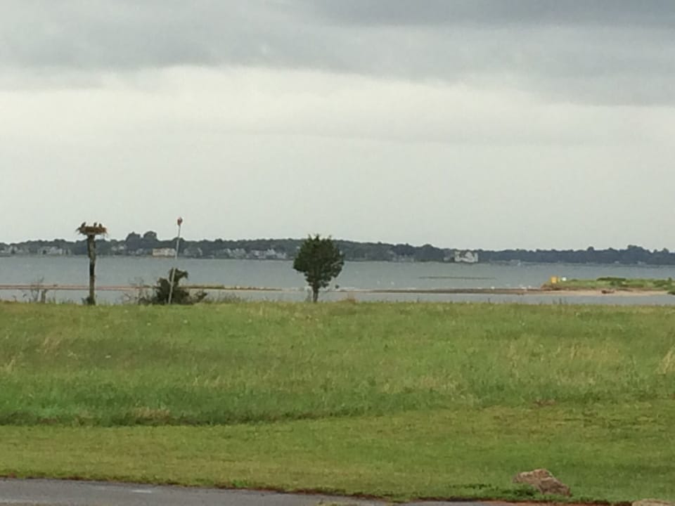 Local landscape, looking towards Old Saybrook