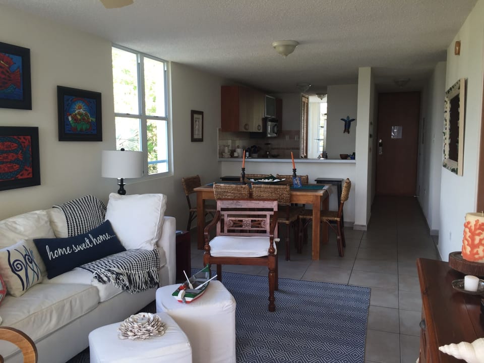 Living Area / Dinning / Kitchen