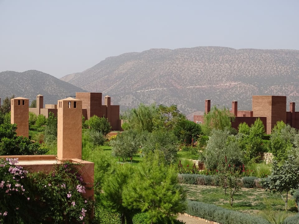 View from our roof across the communal gardens