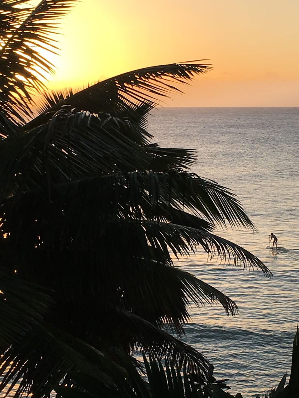 Paddle boarding at Cotton Bay