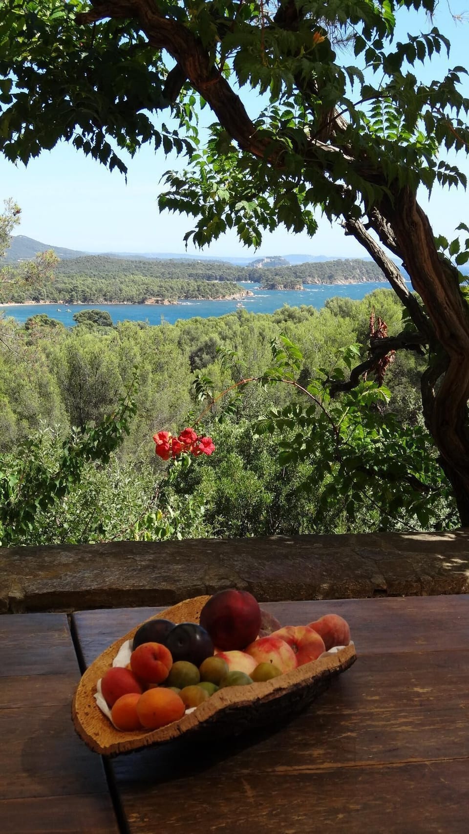 View from property