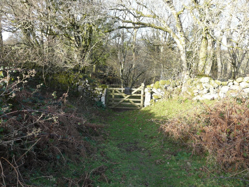 Gate into woodland path which leads to the Cottage 