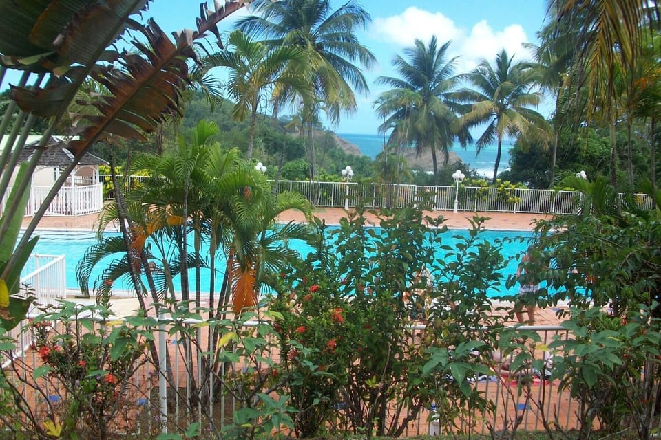 Pool with sea view