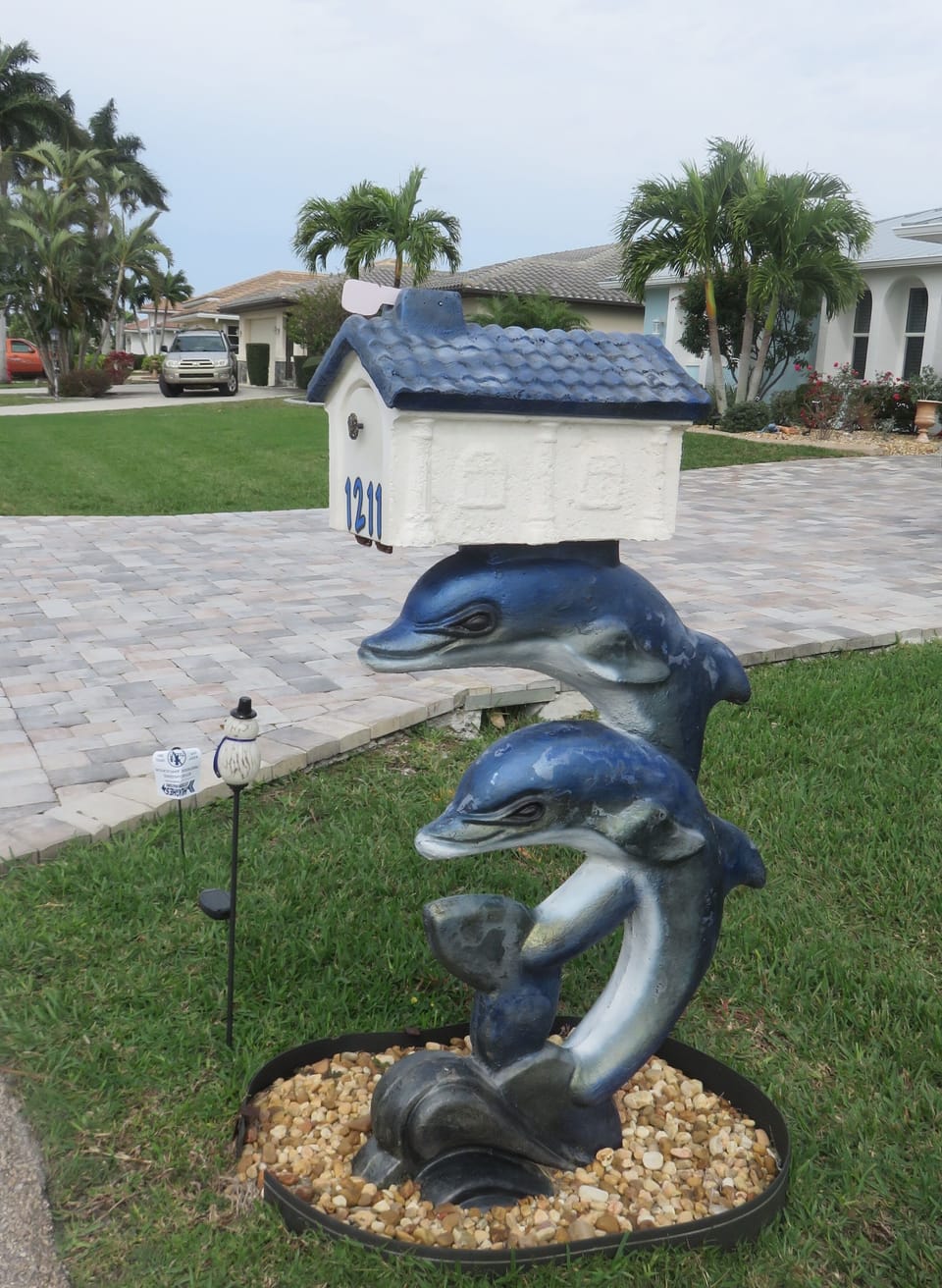 Our dolphins welcome you home.
