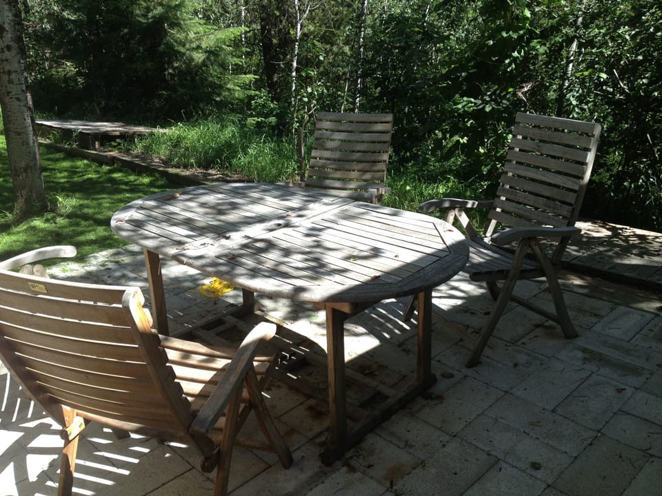 Back patio looking out to woods