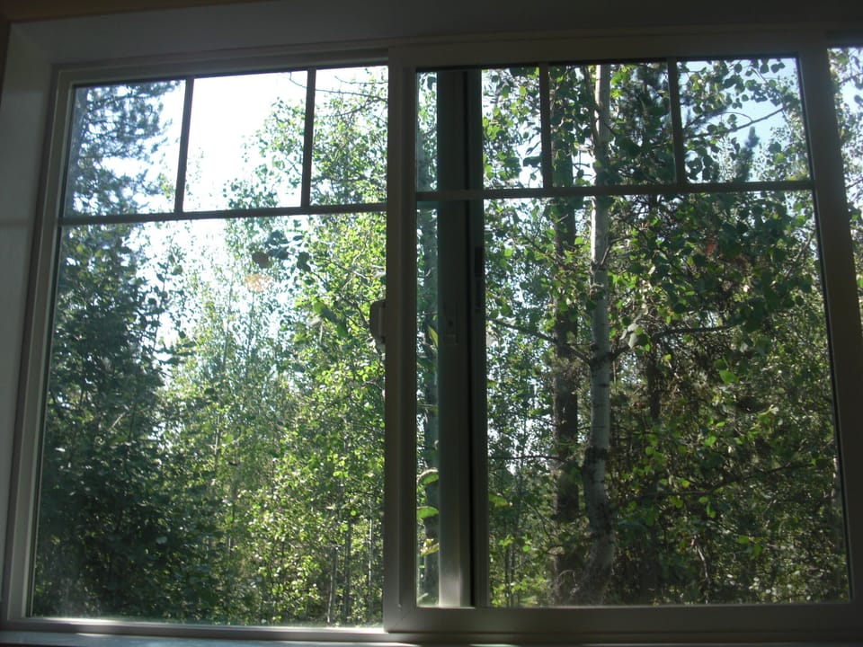 Our view