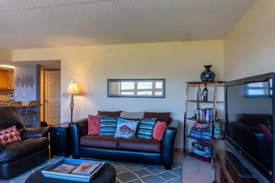 Living room, with pullout sofa