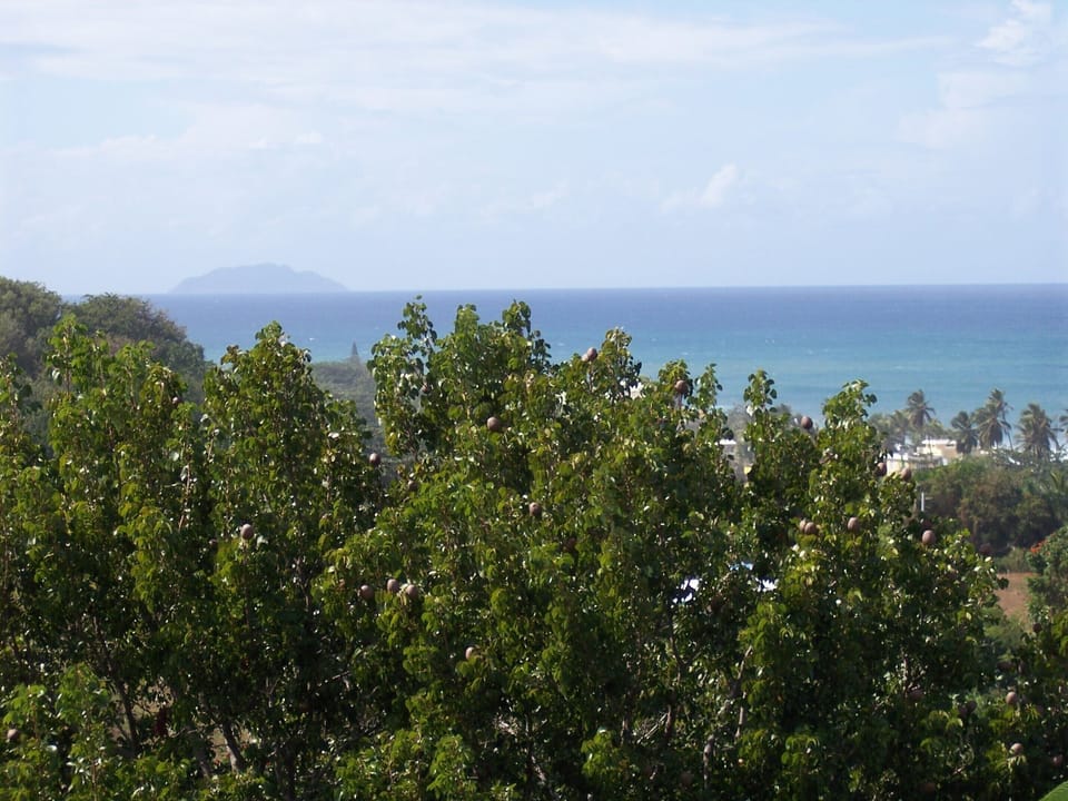 view from Tres Soles 