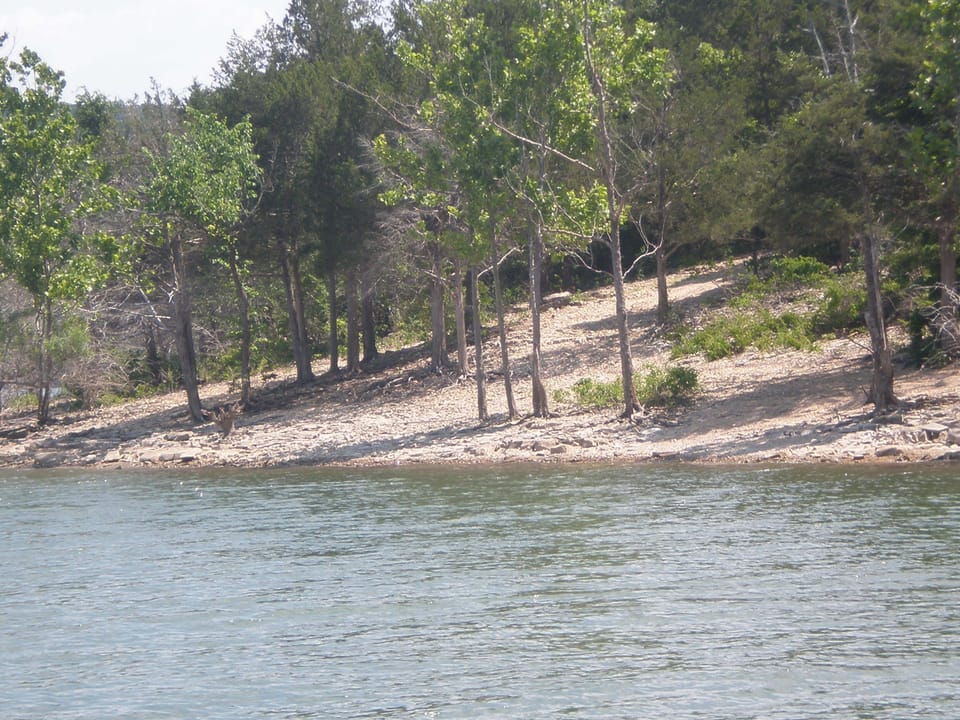 View of Shoreline, great place to picnic, swim, fish, boat or do any water sport