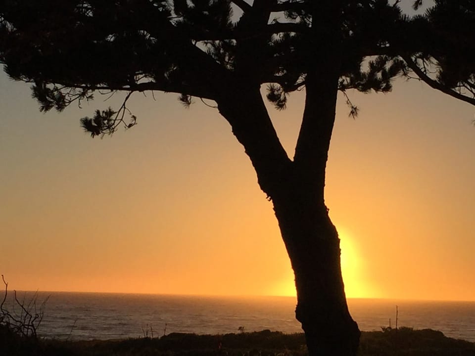 Sunset at Roy's