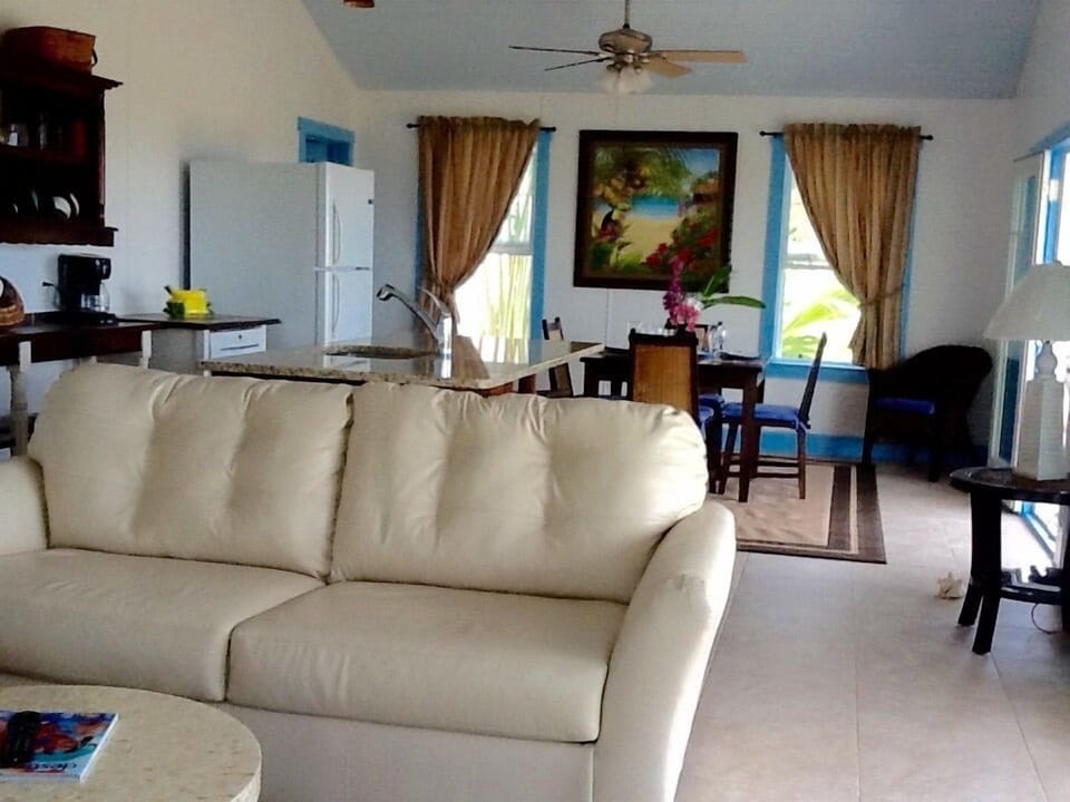 Living area with vaulted ceiling