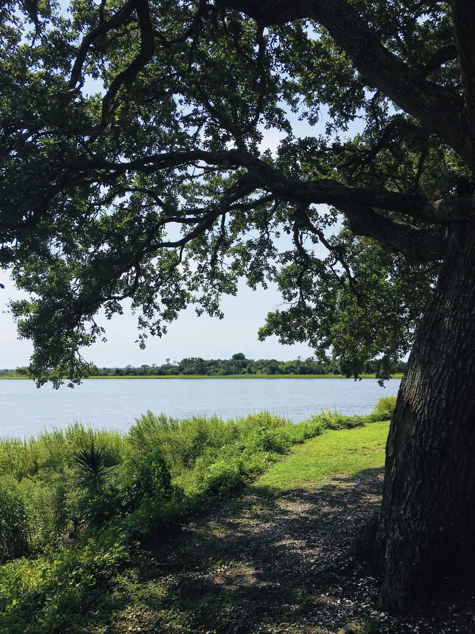 View from the Sunset Beach Memorial Park (great place to walk or read a book) 