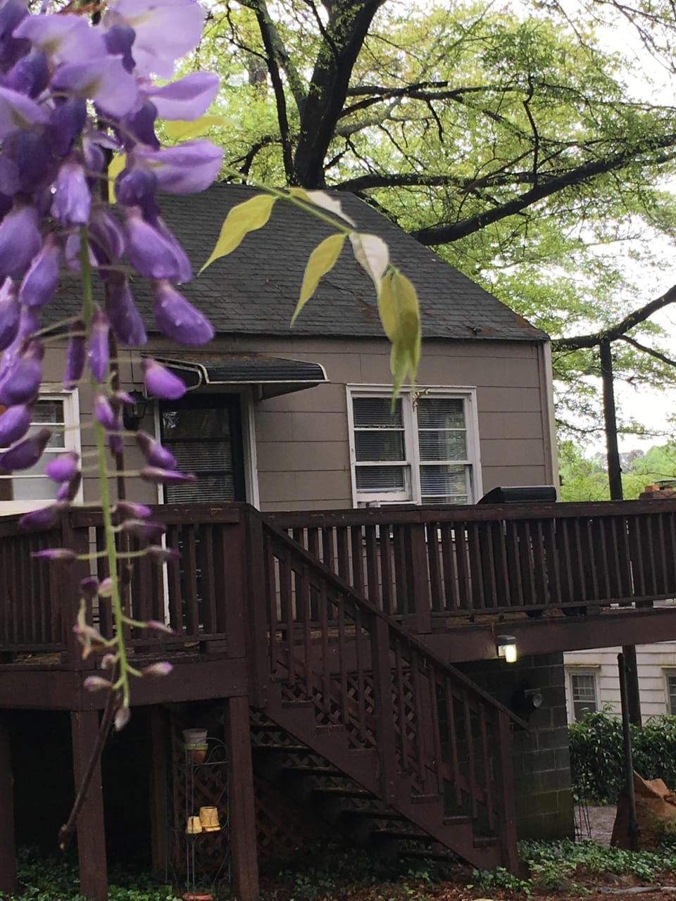 Large deck, quiet location in back of large residential lot. Lots of privacy.