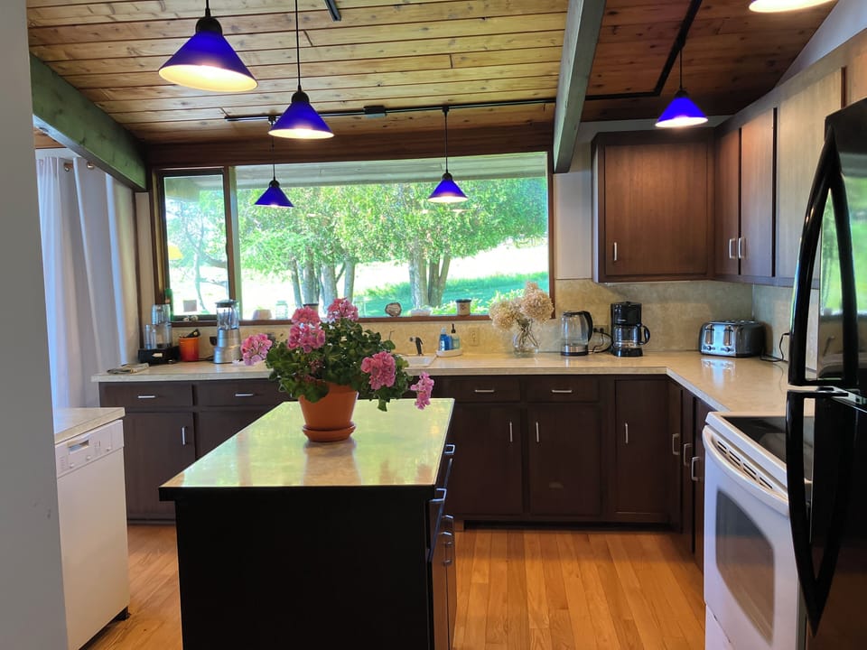 Kitchen overlooking blueberry fields and ocean.