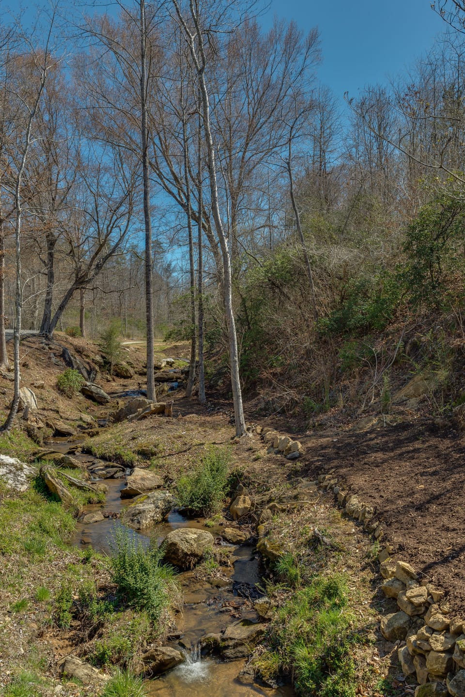 Meandering Piney Knob Creek