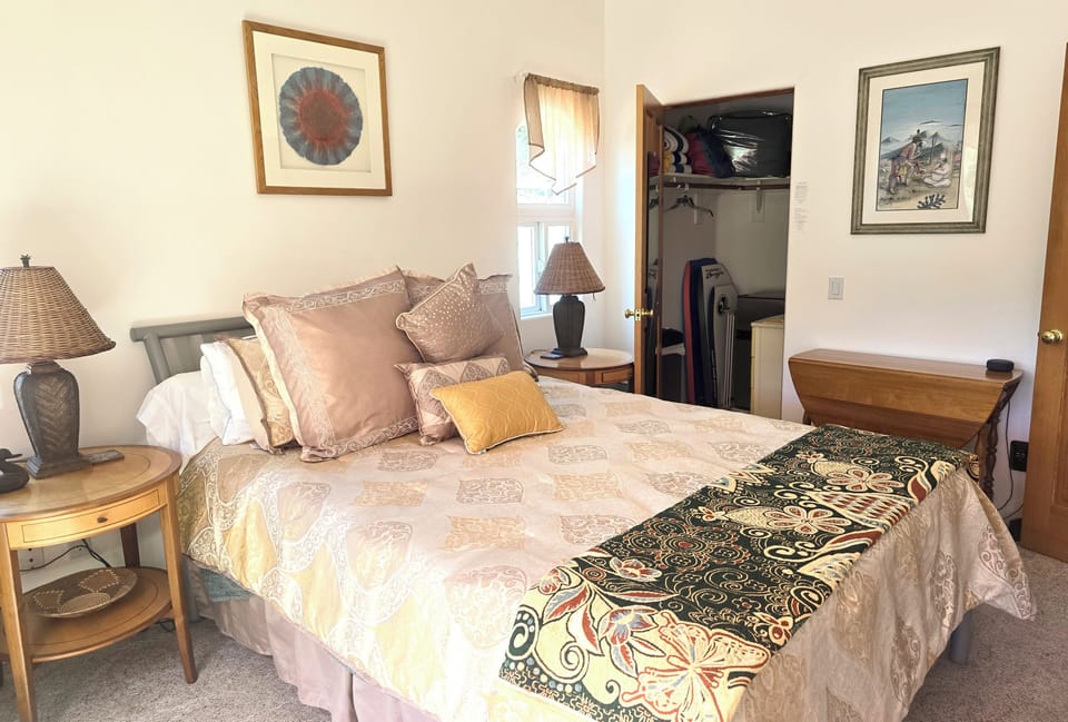 Master Bedroom with walk in closet with many amenities