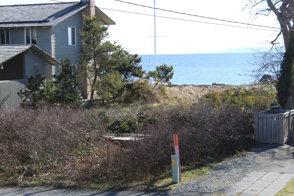 Useless bay from the front of the cottage.