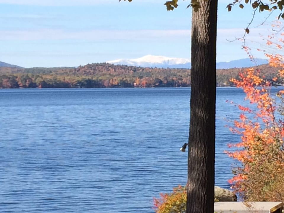 The fall is beautiful too.