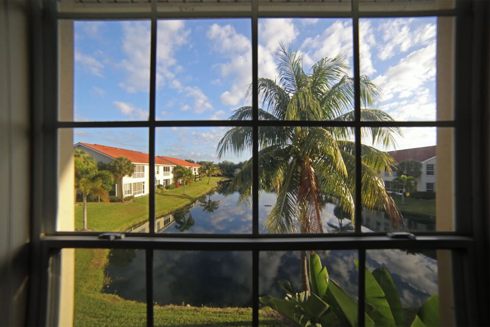 The view from the kitchen table right off the kitchen. 