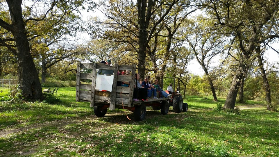 Plenty of trails to walk and explore