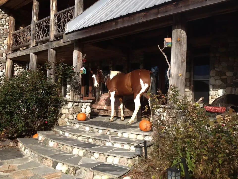 Horse’s visit for treats