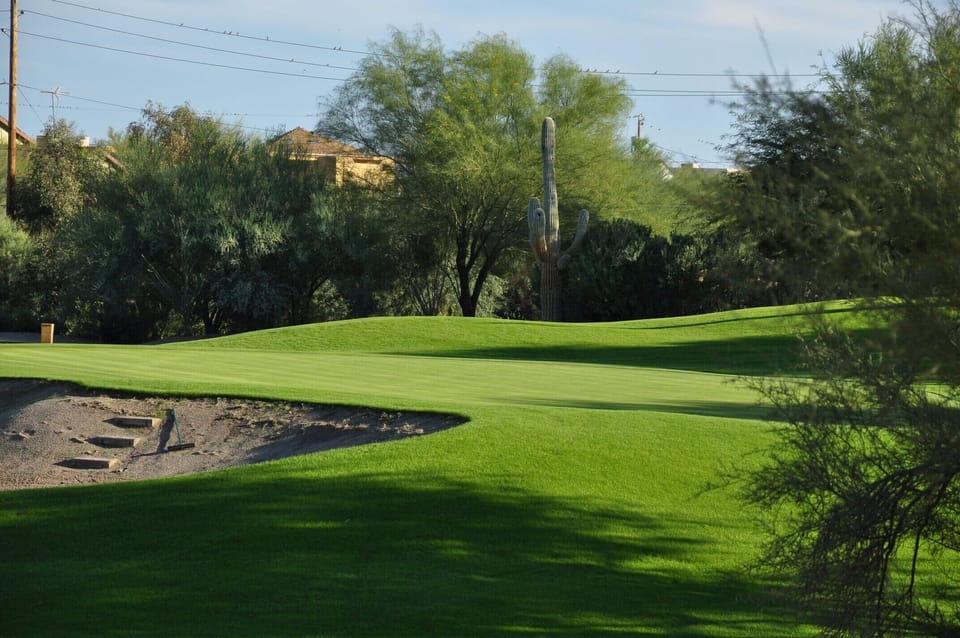 View from our patio. Green on # 5 hole.