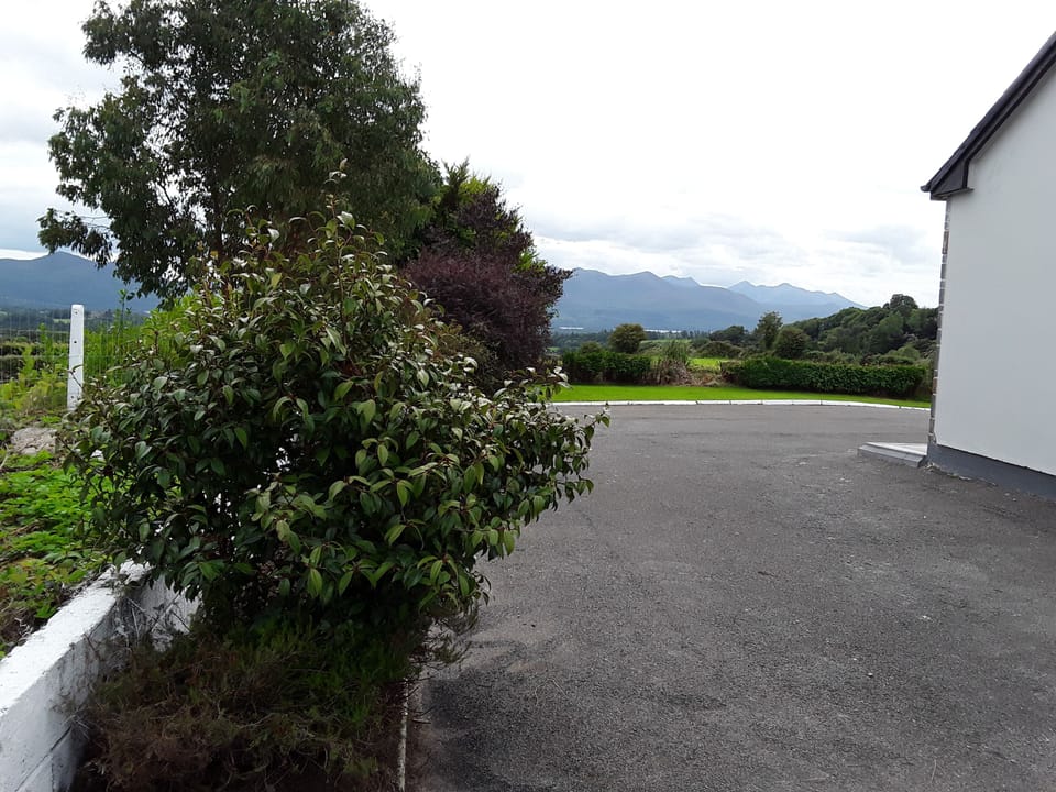 Side view from house 