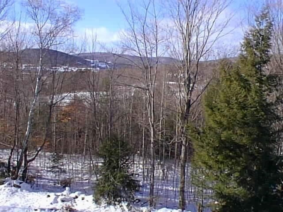 View out the back window