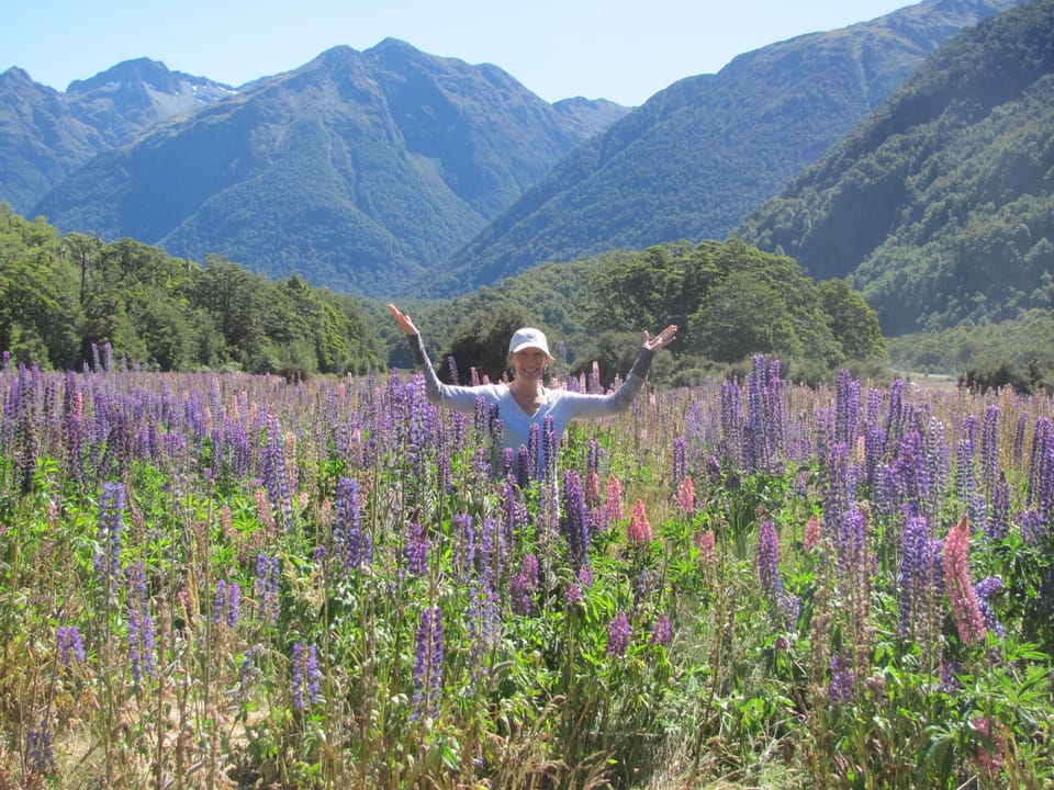 Colourful playground of Fiordland National Park