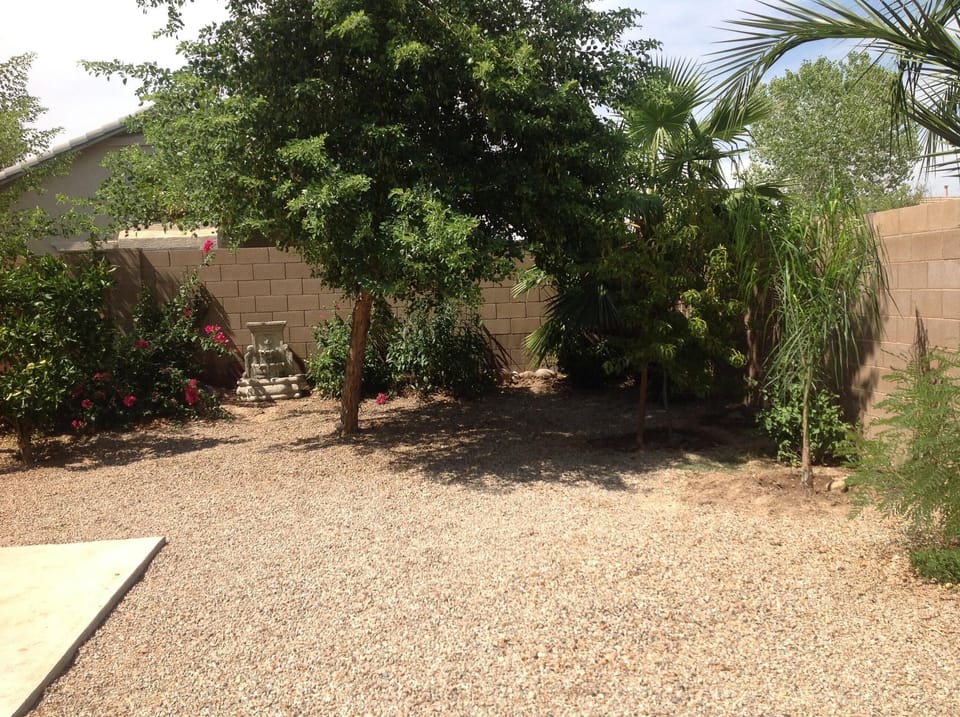 Back yard
