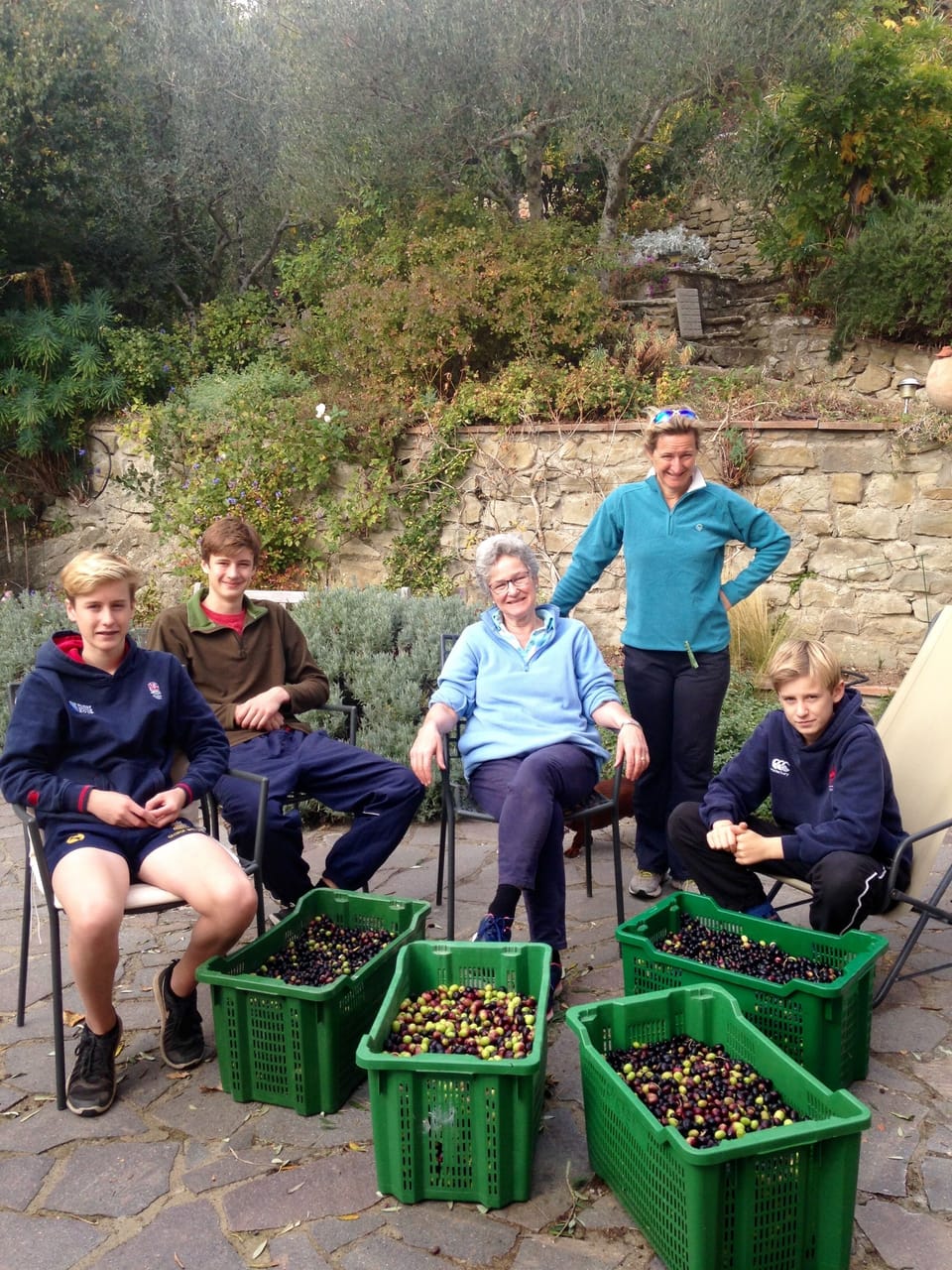 The family help with the picking of the olives.