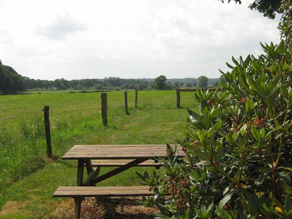 Kaper, vacation apartment Unnern Appelboom - Holiday apartment Unnern Appelboom Apartment in Friesland