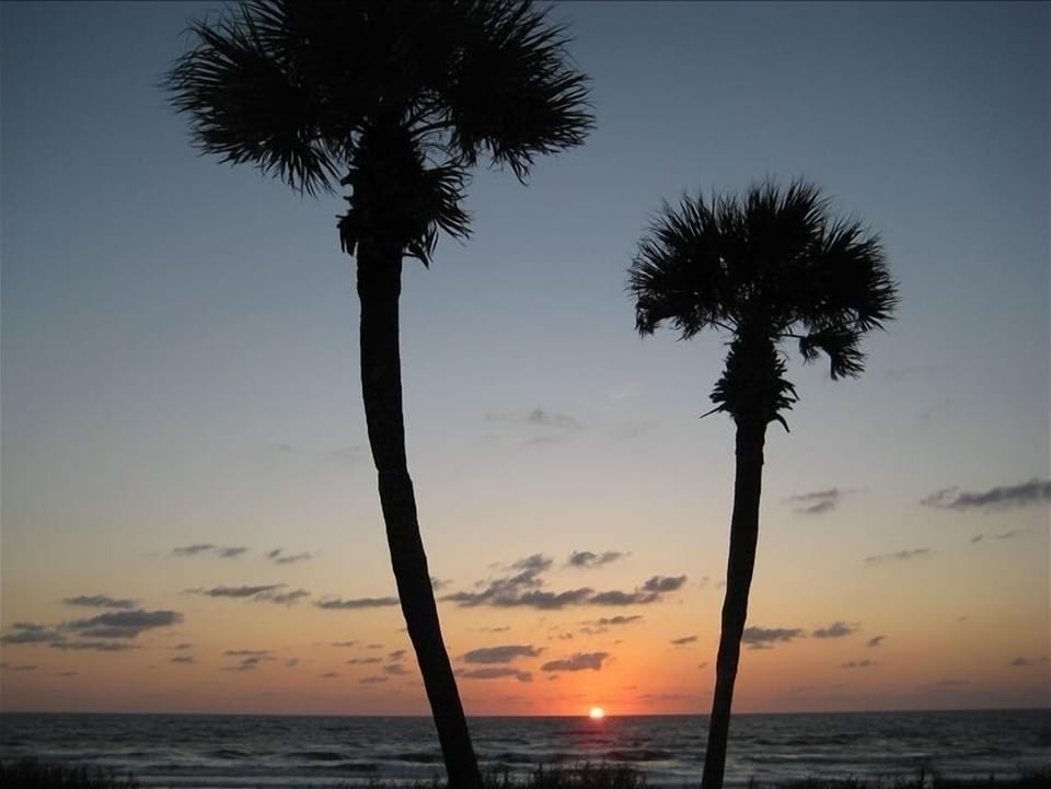 VIEW AN UNBEATABLE LIGHT SHOW FROM THE FRONT YARD EVERY MORNING