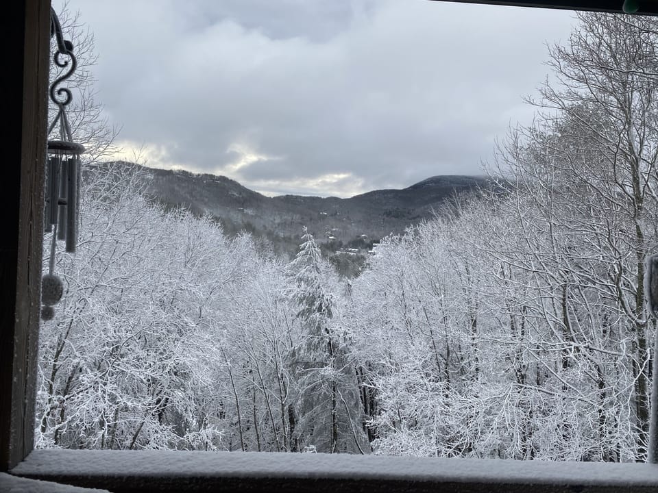 Winter wonderland