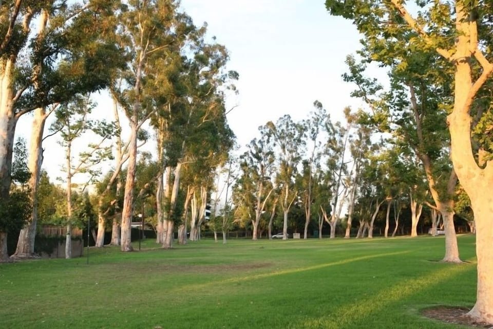 Huge Grass Area for picnics, play, or Disney Firework Viewing.