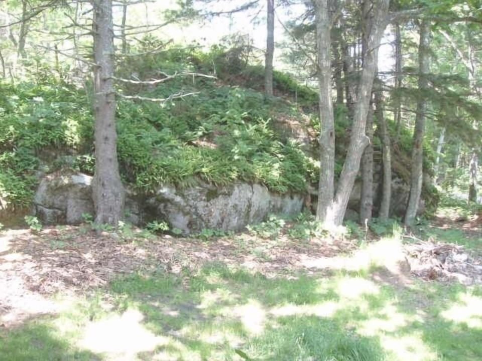 Side yard