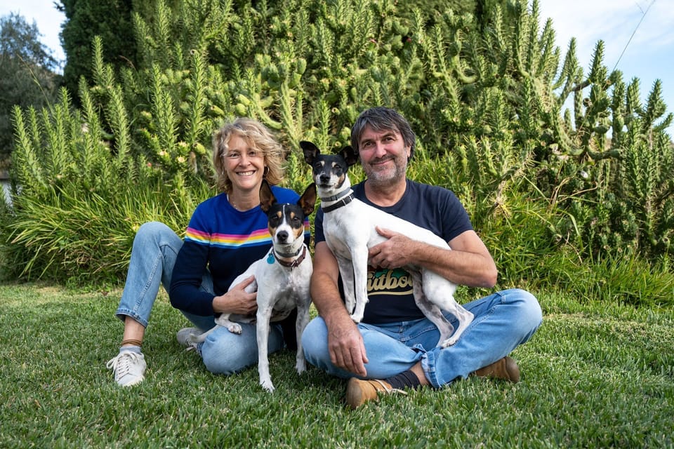 Pet-friendly