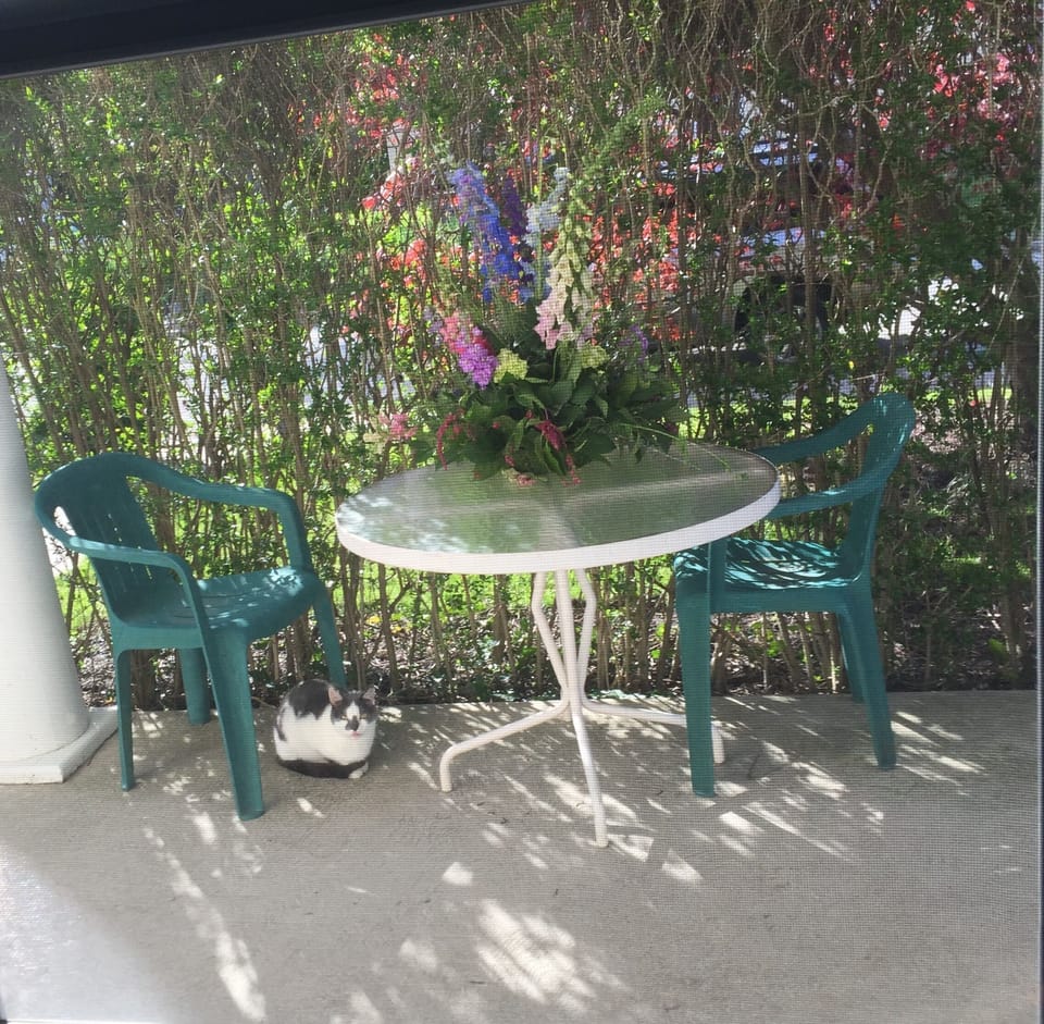 Suite A Porch