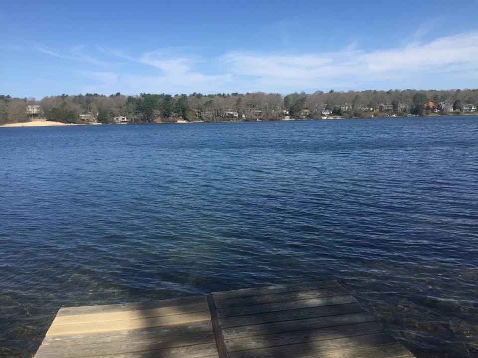 Pond from our dock