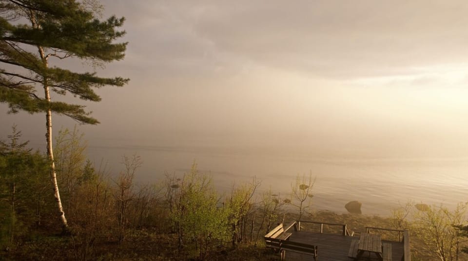 Foggy morning on the bay