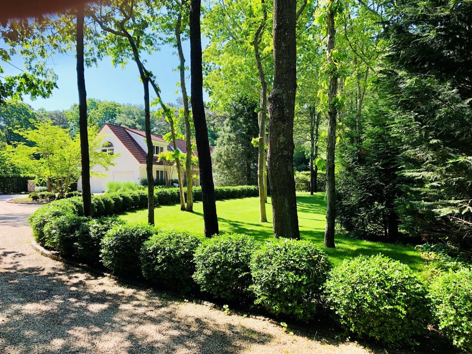 Winding tree lined drive into property