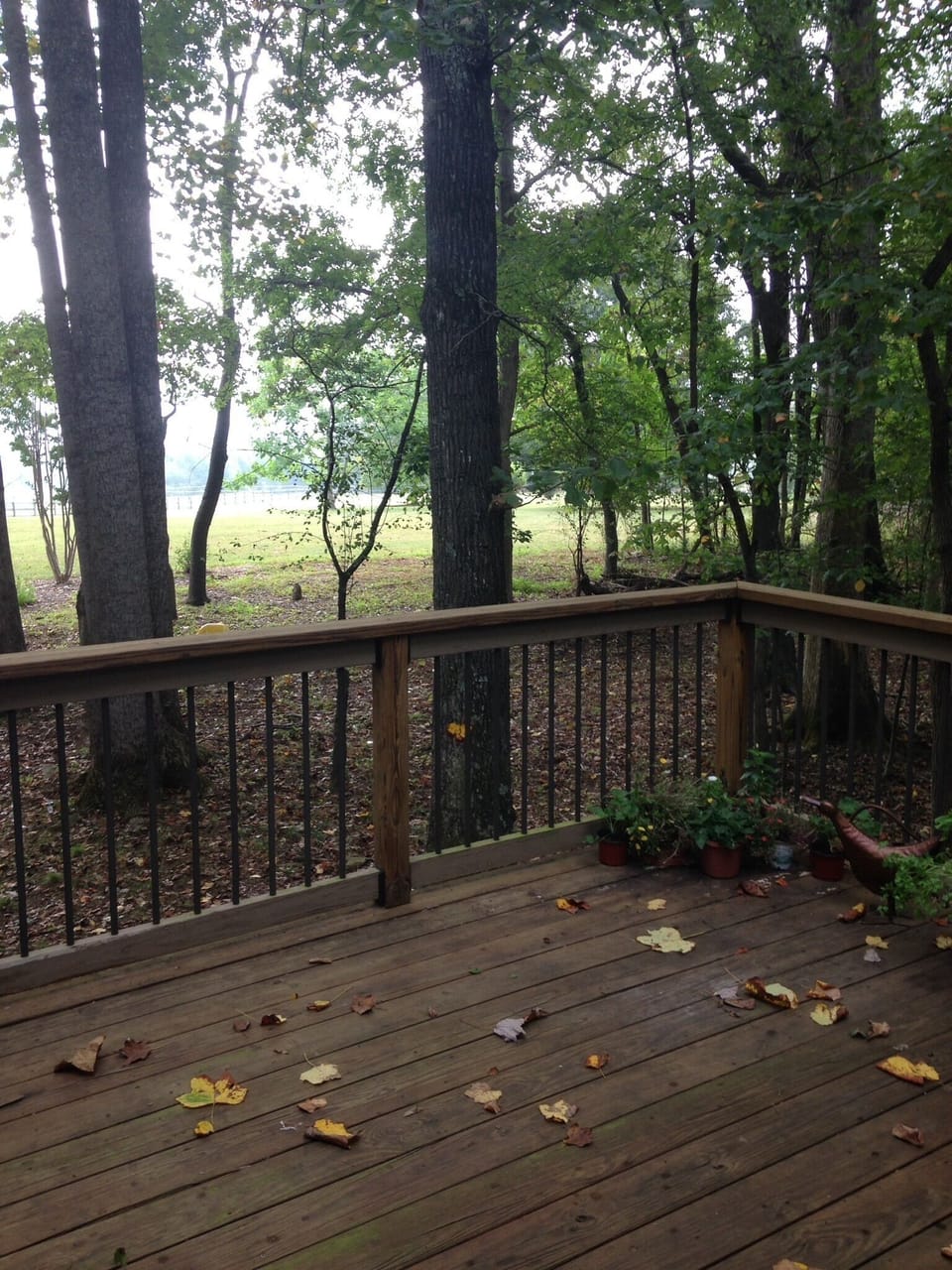 View from master bedroom