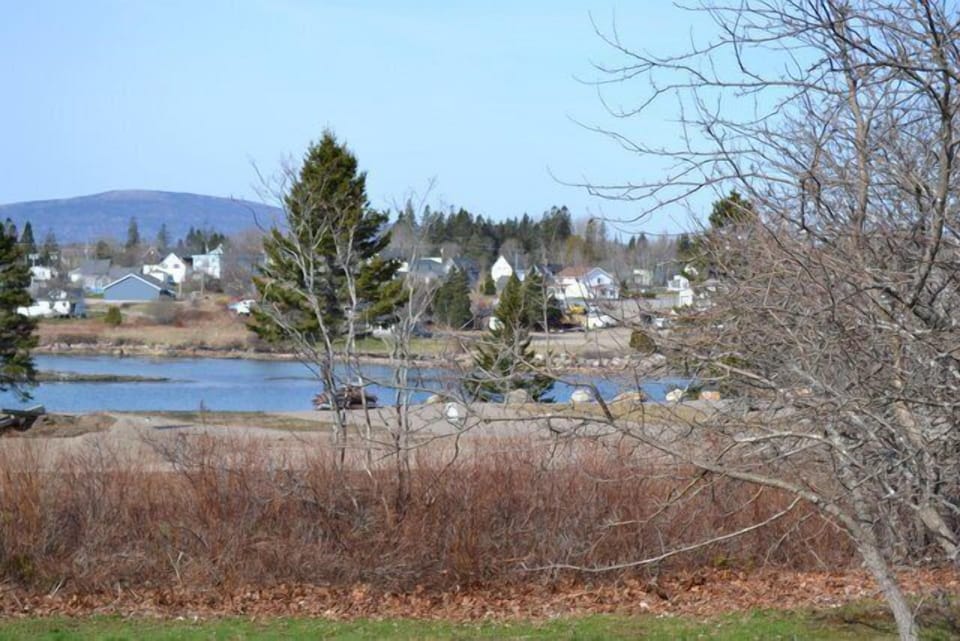 view from the deck
